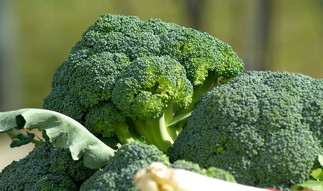 vegan broccoli